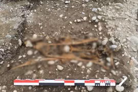 Tìm thấy ít nhất 32 bộ hài cốt ở Pháp chứa sự thật rùng rợn