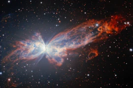 'Bướm vũ trụ' lọt ống kính thiên văn, đẹp mê mẩn