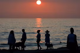 Xuất hiện khối nước ấm bất thường ở Bắc Thái Bình Dương