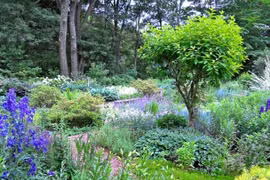 Vì sao cây cối tiến hóa mạnh vào dịp Hạ chí mỗi năm?