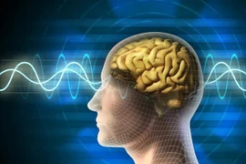 Chuyên gia dự đoán tuổi thọ của con người qua não bộ