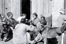 Hé lộ tội ác ghê rợn của những bà thầy bói rùa nhà Thanh 