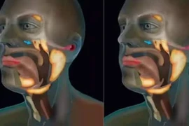 Phát hiện cơ quan mới trong cơ thể người