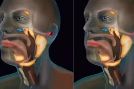 Phát hiện cơ quan mới trong cơ thể người