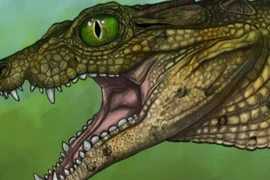 Giật mình hộp sọ tí hon 95 triệu năm tuổi của loài cá sấu chưa từng thấy 