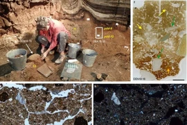 'Viên nang thời gian sinh học' hé lộ bí ẩn về lịch sử loài người