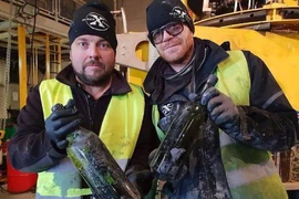 Trục vớt 900 chai rượu cổ 100 tuổi từ xác tàu đắm