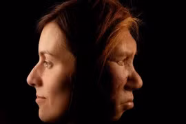 Hé lộ nguyên nhân khiến người Neanderthal tuyệt chủng