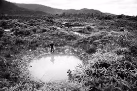 Vì sao chiến lược ngăn chặn Đường Hồ Chí Minh của Mỹ thất bại?