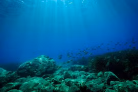 Lần đầu tiên phát hiện hệ thống nước 'ngọt hóa' cổ đại dưới đáy Đại Tây Dương