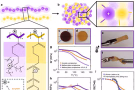 Các nhà khoa học Hà Lan phát minh vật liệu thách thức các định luật vật lý
