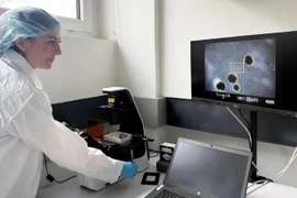 Chuyên gia nuôi bộ não mini để phát triển máy tính sinh học 