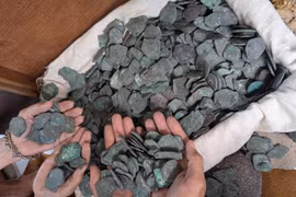 Trục vớt kho báu tiền cổ cực giá trị từ xác tàu đắm ngoài khơi Florida