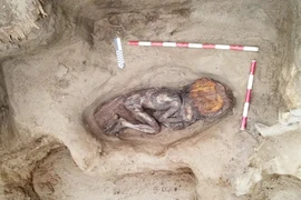 Mở mộ cổ 5.000 tuổi, sốc nặng thi hài còn nguyên da và tóc