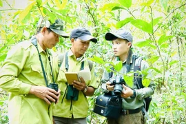 'Nhà khoa học' của rừng