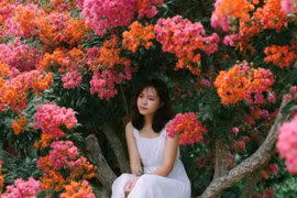 Người sinh ngày Âm lịch này ấm áp, dịu dàng, cuộc sống như rượu lâu năm