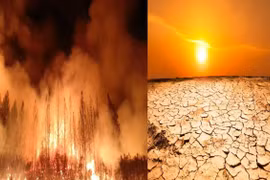 Năm 2025, biến đổi khí hậu gây thiệt hại hơn 120 tỷ USD 