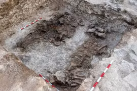 Mở mộ cổ của "Chúa tể Sakar", sửng sốt kho báu tùy táng 'sang xịn mịn'