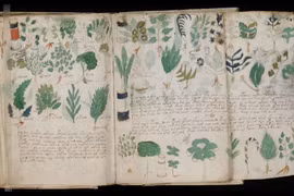 Chuyên gia tìm được cách mới giải mã cuốn sách bí ẩn nhất thế giới