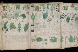 Chuyên gia tìm được cách mới giải mã cuốn sách bí ẩn nhất thế giới