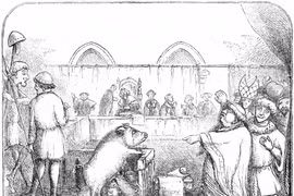 Bí ẩn phiên tòa xử động vật kỳ quái nhất thời Trung cổ