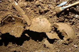 Kiểm tra hài cốt 3.700 năm tuổi, phát hiện bí mật gây sốc