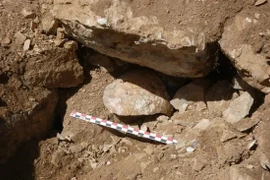 Hộp sọ cổ phơi bày người La Mã hành hạ tàn bạo kẻ thù