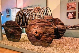 Cỗ xe ngựa 3.500 tuổi được bảo quản cực tốt, chuyên gia kinh ngạc