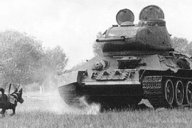 Liên Xô huấn luyện chó cảm tử trong Thế chiến 2 thế nào?