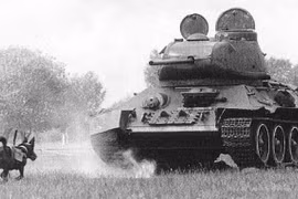 Liên Xô huấn luyện chó cảm tử trong Thế chiến 2 thế nào?