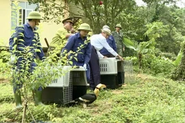 Thả nhiều động vật quý hiếm về rừng Phong Nha - Kẻ Bàng