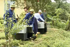 Thả nhiều động vật quý hiếm về rừng Phong Nha - Kẻ Bàng