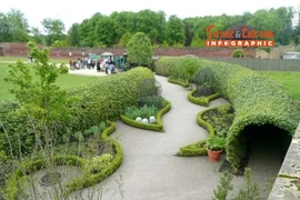 [INFOGRAPHIC] Khu vườn độc dược lớn nhất thế giới