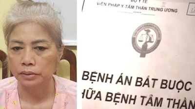 Hành trình phá đường dây ma túy do nữ quái giả tâm thần cầm đầu