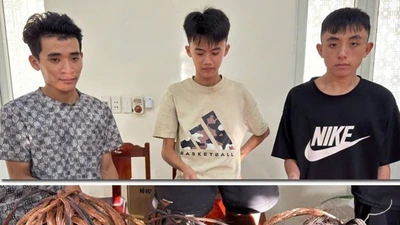 Bắt giữ 3 đối tượng trộm cắp tài sản của nhiều ngư dân ở Thanh Hóa