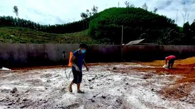 Gia Lai tiêu hủy hơn 100 tấn thịt heo không rõ nguồn gốc, bốc mùi