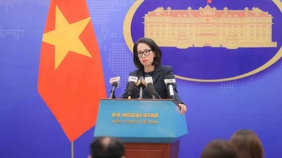 Bộ Ngoại giao lên tiếng vụ thực tập sinh Việt Nam bị bắt tại Nhật Bản