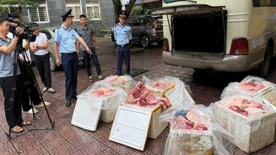 Hà Giang tiêu huỷ 450 kg thực phẩm thối được giấu trên ô tô
