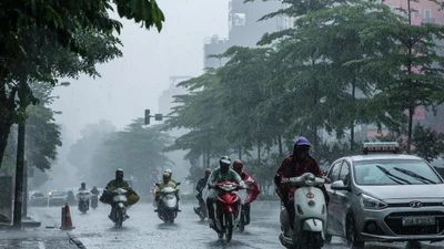Dự báo thời tiết hôm nay 10/6: Hà Nội có mưa dông