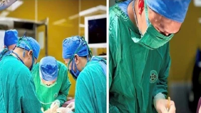 Người đàn ông ngã, bị cành cây đâm xuyên nhãn cầu 