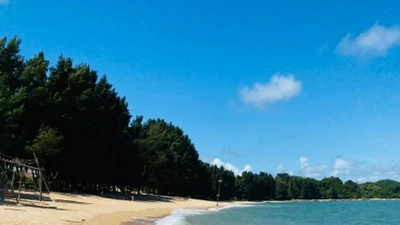 5 bãi biển ở miền Bắc tuyệt đẹp, thích hợp du lịch hè 2025