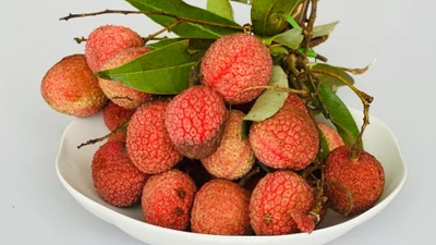 Người phụ nữ cấp cứu khi ăn hơn 100 quả vải, bác sĩ cảnh báo