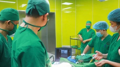 Gây mê phá đông trị đau khớp vai mạn tính kéo dài