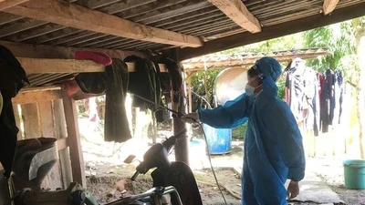 Nghệ An phát hiện 2 ca viêm não Nhật Bản ở 2 xã miền núi