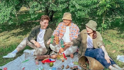 Du lịch Mộc Châu mùa hái mận, chọn tour nào hợp túi tiền?