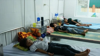 Kết quả xét nghiệm vụ ngộ độc tại Quảng Trị, có vi khuẩn Bacillus cereus 