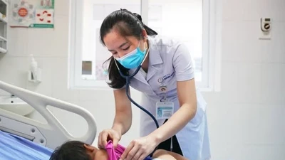 Nỗ lực cứu sống trẻ 21 tháng tuổi bị rắn độc cắn hôn mê