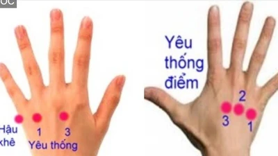 Day huyệt tay, chân hỗ trợ điều trị trượt đốt sống lưng
