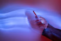 Chatbot AI tiêu thụ điện khổng lồ và nỗi lo bền vững