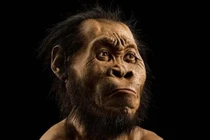 Phát hiện chấn động viết lại lịch sử chôn cất loài người cổ đại